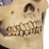 Skull - full face latex mask for halloween