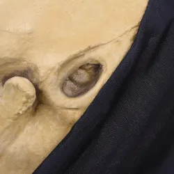 Skull - full face latex mask for halloween